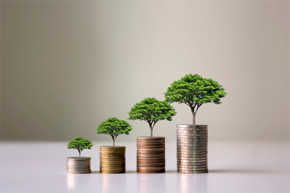 Showing Financial Developments And Business Growth With A Growing Tree appearing form the top of coin stacks
